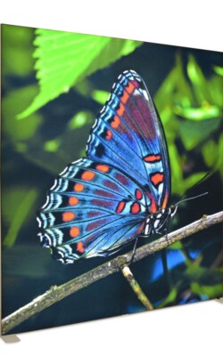 ankara lightbox, ankara led lightbox, ankara ışıklı tabela, ankara ışıklı reklam panosu, ankara lightbox tabela, ankara lightbox sistemleri, lightbox nedir, lightbox tabela nedir, lightbox fiyatları ankara, ankara lightbox fiyatları 2026, ayaklı lightbox ankara, ayaklı lightbox fiyatları, taşınabilir lightbox sistemleri, portatif ışıklı pano, modüler lightbox ankara, modüler lightbox sistemleri fiyat, büyük lightbox duvar sistemi, duvar tipi lightbox ankara, fuar lightbox sistemleri, ankara fuar lightbox çözümleri, fuar stand lightbox, lightbox fuar stand kurulumu, led lightbox tabela sistemleri, backlit lightbox baskı, backlit kumaş baskı lightbox, ışıklı pano baskı ankara, ışıklı reklam tabelası fiyatları, vitrin lightbox sistemleri ankara, mağaza ışıklı tabela ankara, avm lightbox tabela sistemleri, kurumsal lightbox çözümleri ankara, reklam lightbox üretimi, reklam lightbox imalat ankara, slim lightbox çerçeve sistemleri, alüminyum lightbox çerçeve, çift taraflı lightbox tabela, tek taraflı lightbox sistemleri, ışıklı duvar panosu, dekoratif ışıklı pano, modern ışıklı tabela tasarımı, LED tabela mı lightbox mı, lightbox mı tabela mı daha iyi, fuar stand ışıklı pano, ankara reklam sistemleri lightbox, profesyonel lightbox çözümlerilightbox nedir ne işe yarar, lightbox tabela ne demek, lightbox fiyatları neye göre değişir, ayaklı lightbox nedir, ayaklı lightbox nerelerde kullanılır, modüler lightbox ne demek, modüler lightbox nerede kullanılır, fuar lightbox nedir, fuar lightbox neden kullanılır, lightbox mı tabela mı daha iyi, led lightbox ne kadar elektrik harcar, lightbox baskısı değişir mi, lightbox baskı nasıl yapılır, lightbox kaç yıl kullanılır, lightbox ölçüleri nelerdir, en iyi ışıklı tabela hangisi, ankara lightbox fiyatları ne kadar, ayaklı lightbox kurulumu zor mu, modüler lightbox sökülüp takılır mı, fuar stand lightbox avantajları nelerdir, ışıklı pano mu rollup mu daha iyi ankara lightbox, ankara led lightbox, ankara ışıklı tabela, ankara ışıklı reklam panosu, ankara lightbox tabela, ankara lightbox sistemleri, lightbox nedir, lightbox tabela nedir, lightbox fiyatları ankara, ankara lightbox fiyatları 2026, ayaklı lightbox ankara, ayaklı lightbox fiyatları, taşınabilir lightbox sistemleri, portatif ışıklı pano, modüler lightbox ankara, modüler lightbox sistemleri fiyat, büyük lightbox duvar sistemi, duvar tipi lightbox ankara, fuar lightbox sistemleri, ankara fuar lightbox çözümleri, fuar stand lightbox, lightbox fuar stand kurulumu, led lightbox tabela sistemleri, backlit lightbox baskı, backlit kumaş baskı lightbox, ışıklı pano baskı ankara, ışıklı reklam tabelası fiyatları, vitrin lightbox sistemleri ankara, mağaza ışıklı tabela ankara, avm lightbox tabela sistemleri, kurumsal lightbox çözümleri ankara, reklam lightbox üretimi, reklam lightbox imalat ankara, slim lightbox çerçeve sistemleri, alüminyum lightbox çerçeve, çift taraflı lightbox tabela, tek taraflı lightbox sistemleri, ışıklı duvar panosu, dekoratif ışıklı pano, modern ışıklı tabela tasarımı, LED tabela mı lightbox mı, lightbox mı tabela mı daha iyi, fuar stand ışıklı pano, ankara reklam sistemleri lightbox, profesyonel lightbox çözümlerilightbox nedir ne işe yarar, lightbox tabela ne demek, lightbox fiyatları neye göre değişir, ayaklı lightbox nedir, ayaklı lightbox nerelerde kullanılır, modüler lightbox ne demek, modüler lightbox nerede kullanılır, fuar lightbox nedir, fuar lightbox neden kullanılır, lightbox mı tabela mı daha iyi, led lightbox ne kadar elektrik harcar, lightbox baskısı değişir mi, lightbox baskı nasıl yapılır, lightbox kaç yıl kullanılır, lightbox ölçüleri nelerdir, en iyi ışıklı tabela hangisi, ankara lightbox fiyatları ne kadar, ayaklı lightbox kurulumu zor mu, modüler lightbox sökülüp takılır mı, fuar stand lightbox avantajları nelerdir, ışıklı pano mu rollup mu daha iyi